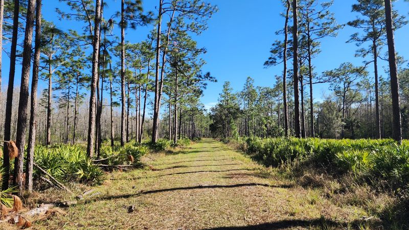Colt Creek State Park - Lakeland, Florida