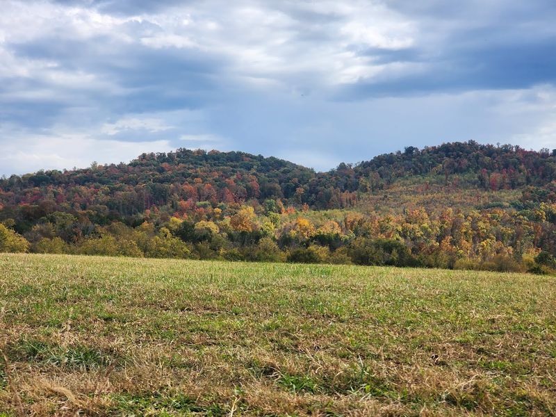 An 18-Hole Championship Golf Course Inside the Park