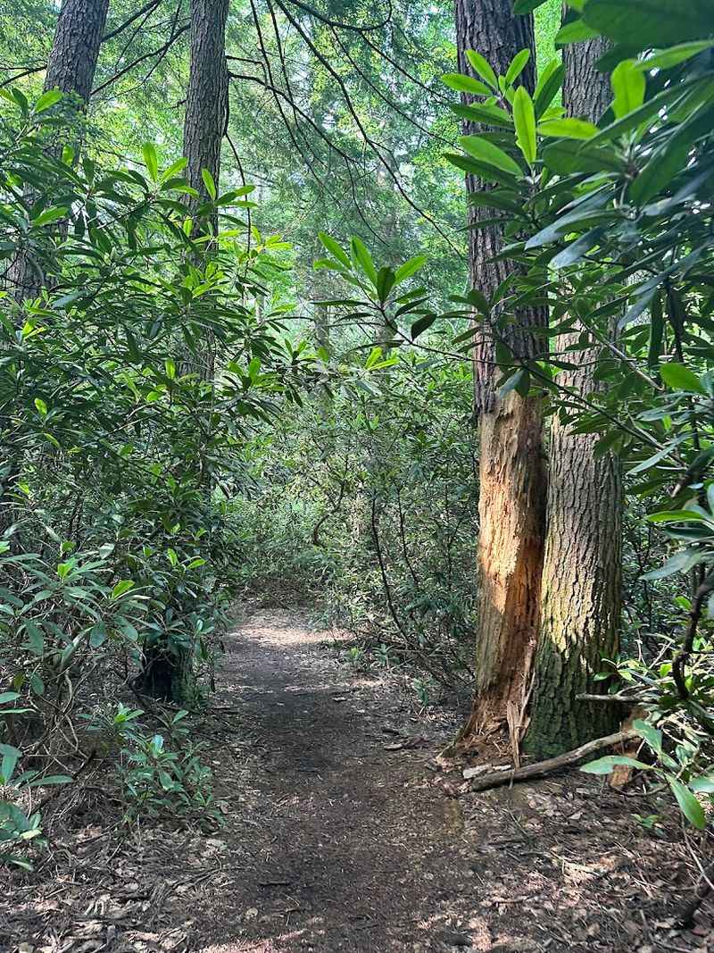 A Short Drive from State College and Penn State