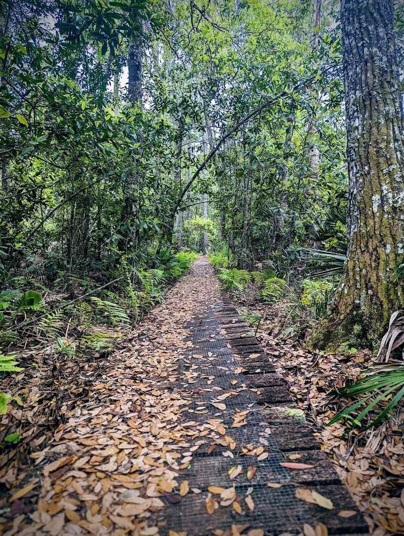 Best Times to Visit the Trail