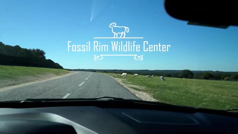 The Stunning Texas Hill Country Scenery