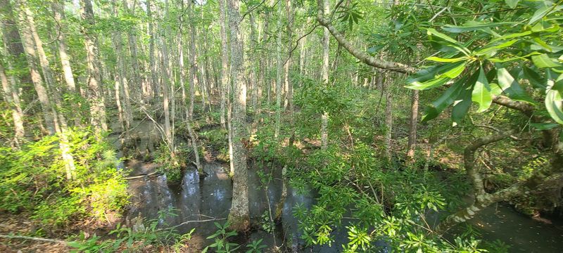 Expect a small park with big stillness