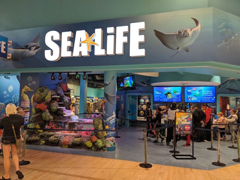 Plan Around Hours and Ticket Tips