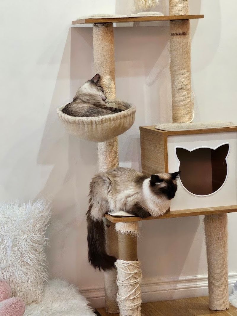 An Experience That Supports a Meaningful Mission