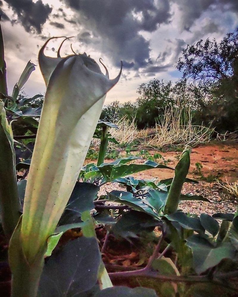 Outdoor Recreation Options Go Well Beyond Hiking