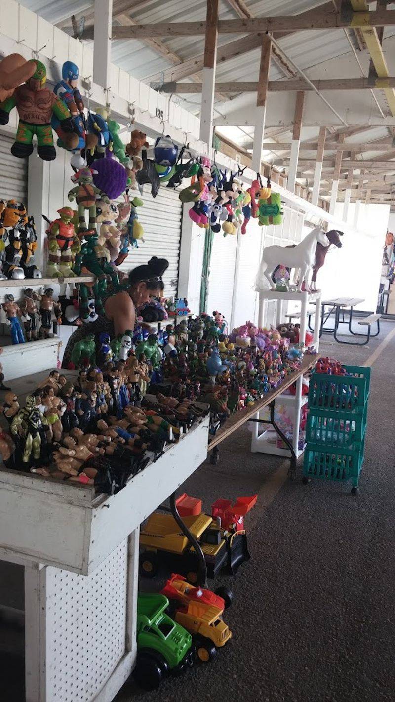 Pulga SA Poteet - San Antonio, Texas