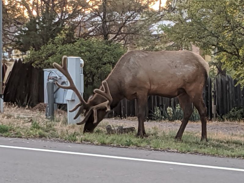 Payson - Payson, Arizona