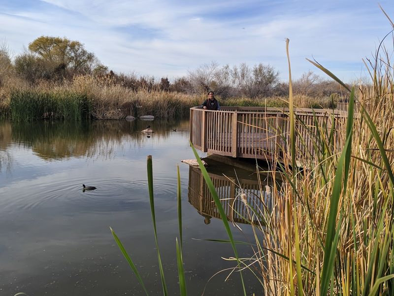 Bird-Watching Paradise Right Inside Las Vegas