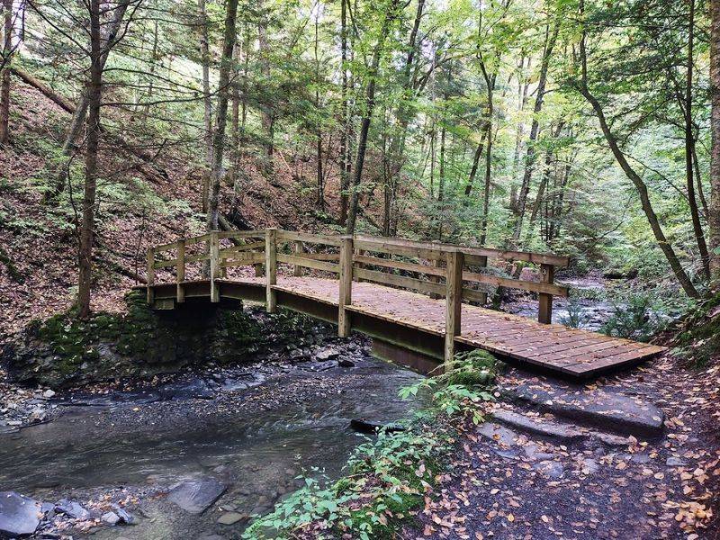 Camping at Fillmore Glen: Small Sites, Big Memories