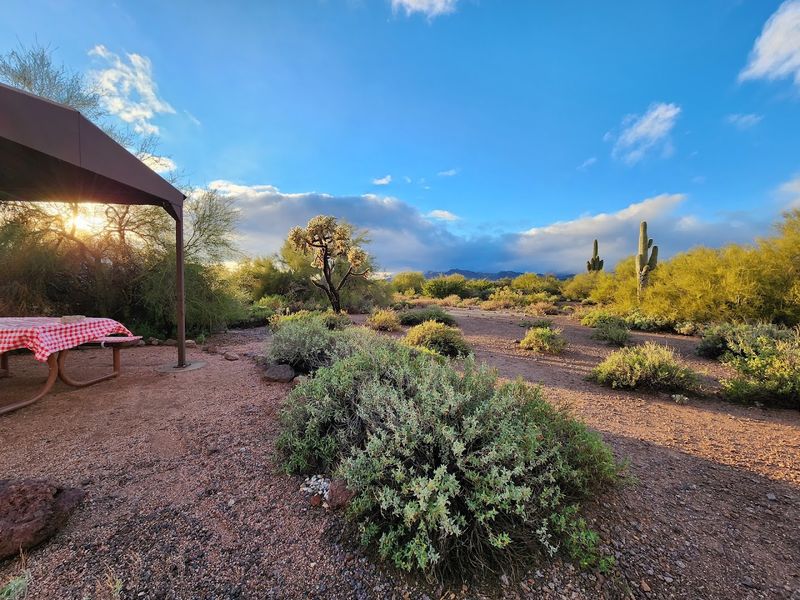 Cozy Cabin Rentals: A Charming Alternative to Tent Life