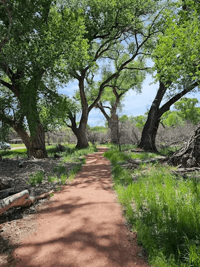Hiking Trails That Wind Through Desert and River Scenery