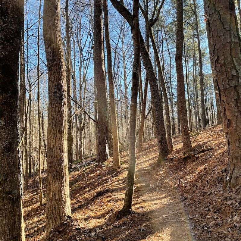 Horseback Riding Trails That Go on for Miles