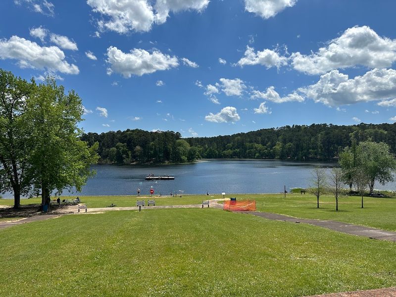 Swimming Area That Keeps Everyone Happy