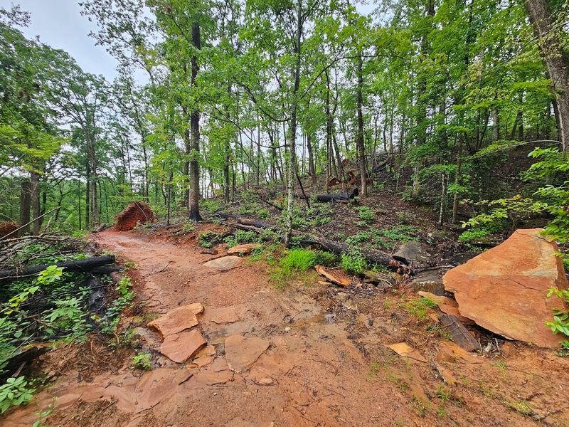 Primitive Camping Under the Stars