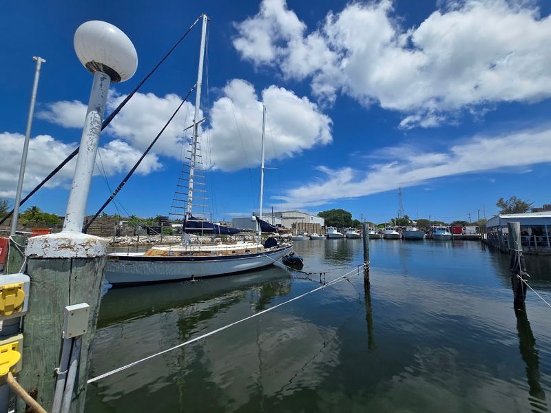 Crab and Artichoke Dip as a Starter