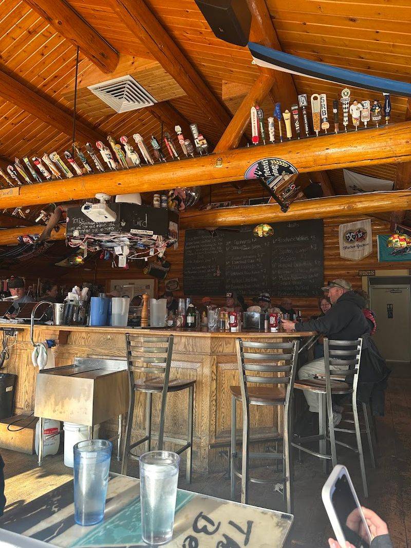 The Bird - Jackson, Wyoming