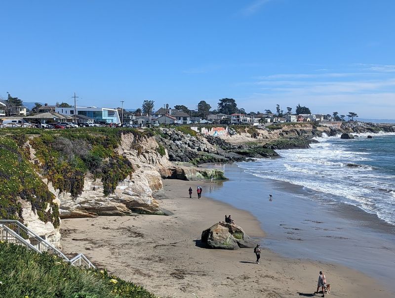 California Dog Beaches That Make Every Trip Better With Your Pup 18 Mitchell's Cove Beach - Santa Cruz, California