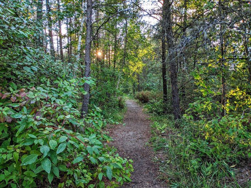 Geodesic Dome Glamping Experience