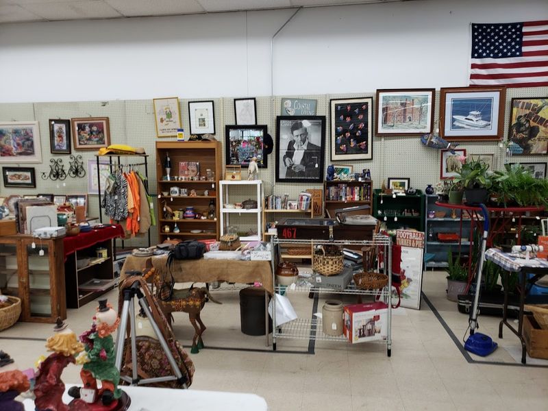 Signs, Decor, and Quirky Home Finds