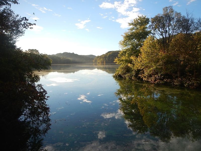 Where to Find Tennessee Views That Seem Too Dramatic to Be Real 6 Radnor Lake State Park - Nashville, Tennessee