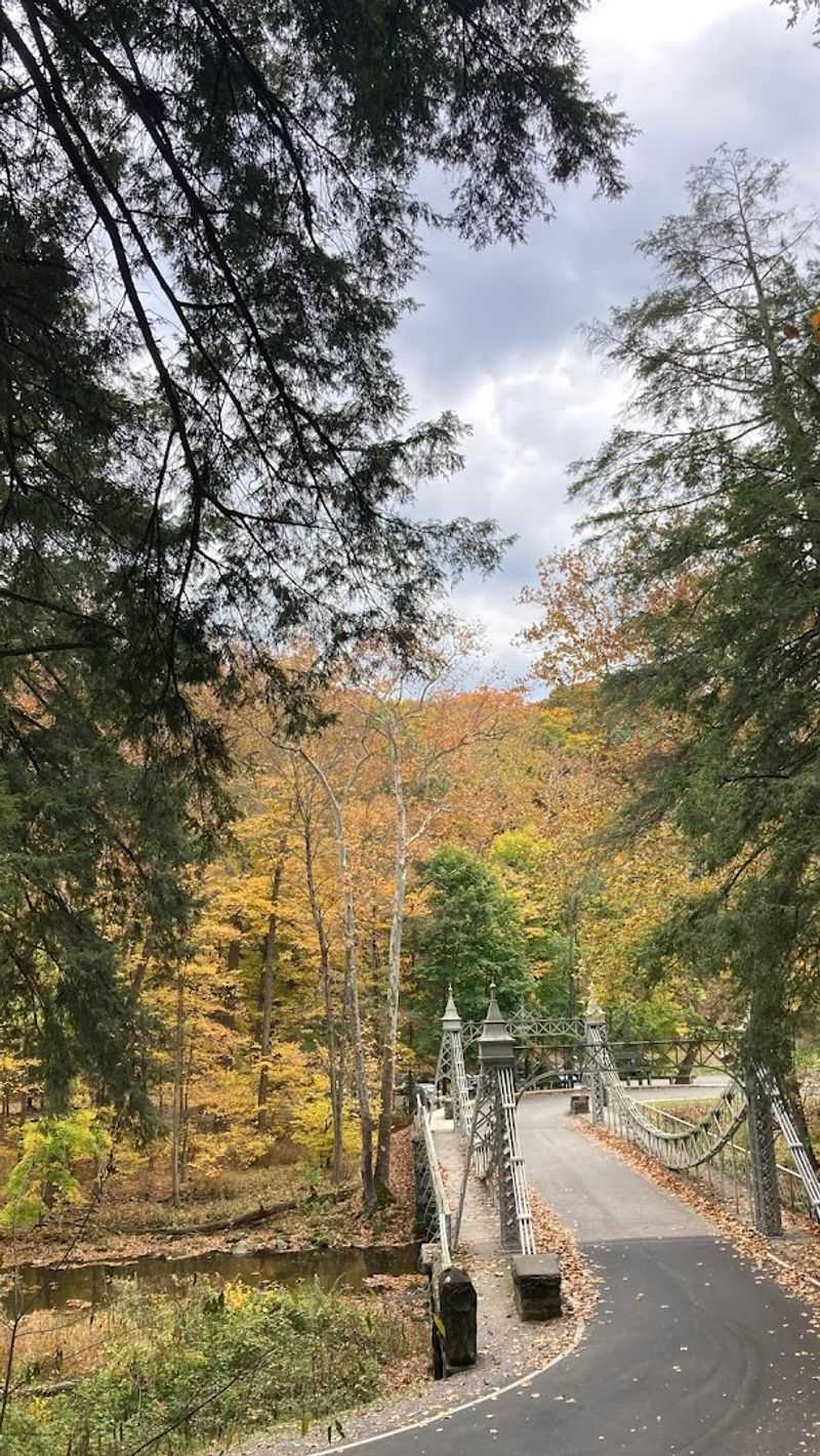 Cycling Adventures Through the Hills