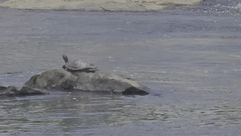 Dark Skies and Peaceful Nights for Campers