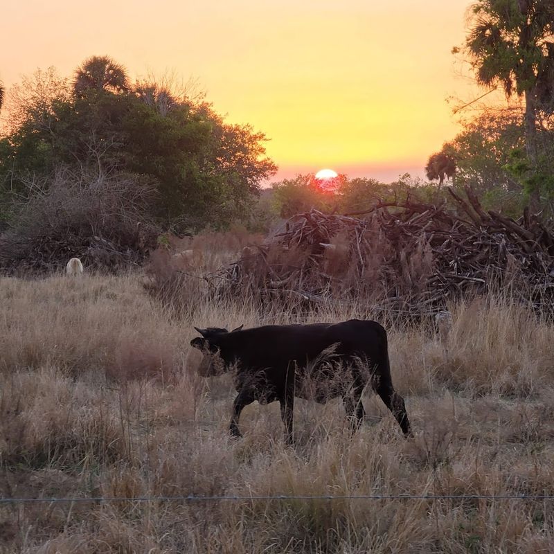 The Florida Towns That Help Stretch a Social Security Budget Further 13 Okeechobee, Florida