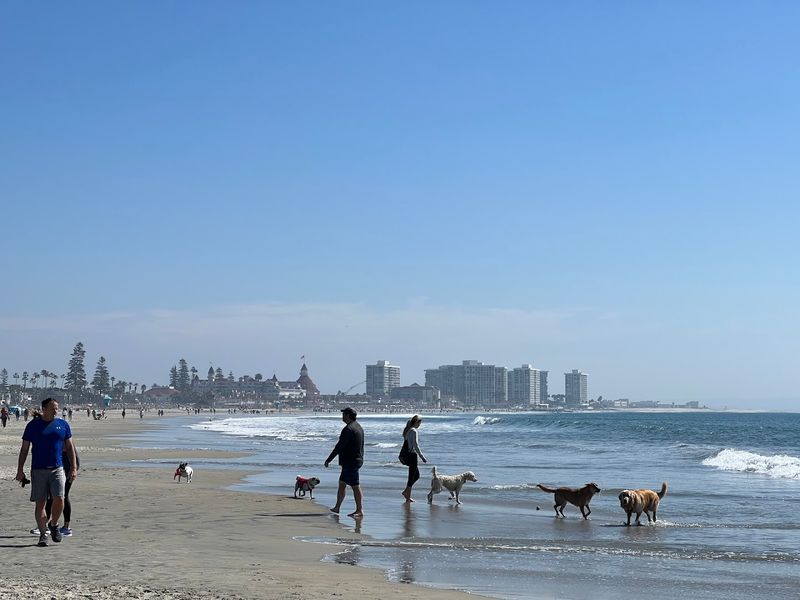 California Dog Beaches That Make Every Trip Better With Your Pup 10 Coronado Dog Beach - San Diego, California