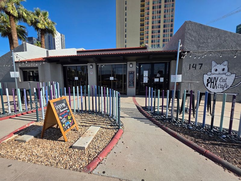 Reasonable Entry Price for the Experience