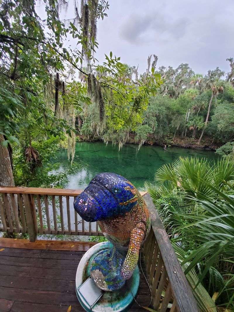 Blue Spring State Park - Florida