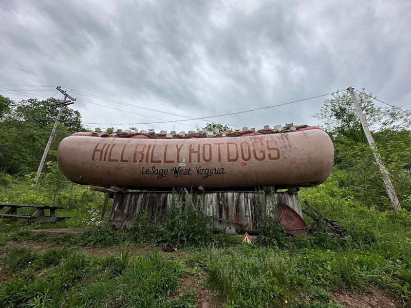 Hillbilly Hot Dogs - Lesage, West Virginia