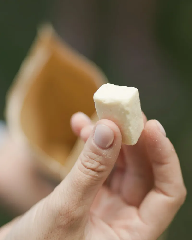 Artificial cheese