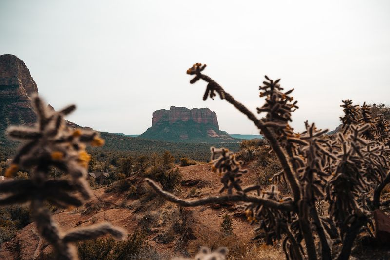 Courthouse Butte: The Bonus View You Didn't Expect