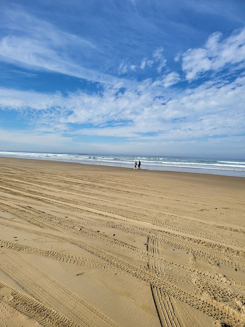 California Dog Beaches That Make Every Trip Better With Your Pup 13 Pismo State Beach - Oceano, California