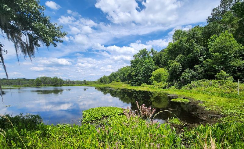 Parks and Outdoor Spaces That Cost Nothing to Enjoy