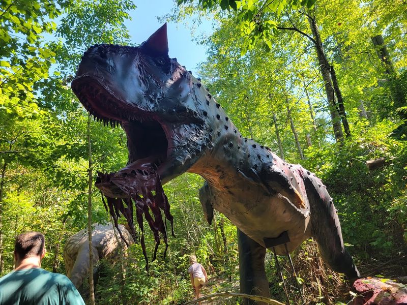 Dino Park in the Dark: A Nighttime Event You Cannot Miss