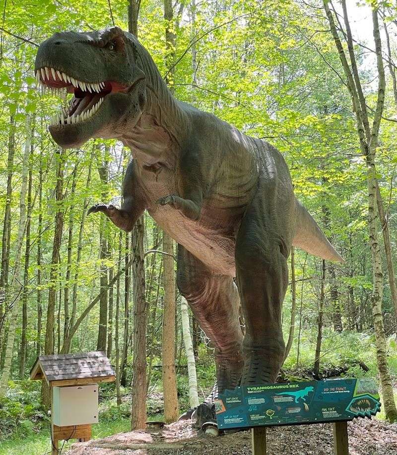 Dino Roar Valley: A Walk Through Prehistoric Wonders