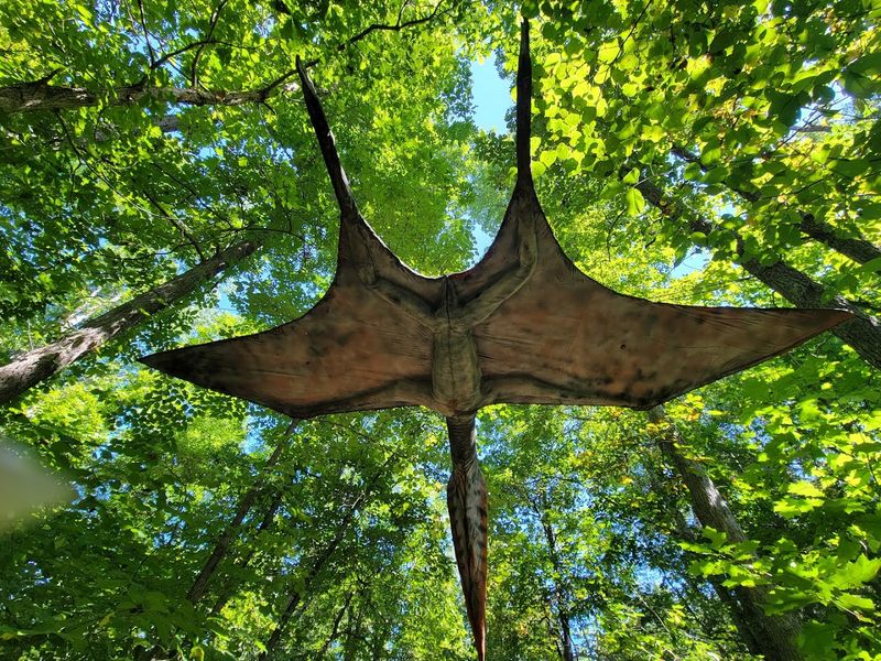 Dinosaurs Hidden in Trees and Above Your Head
