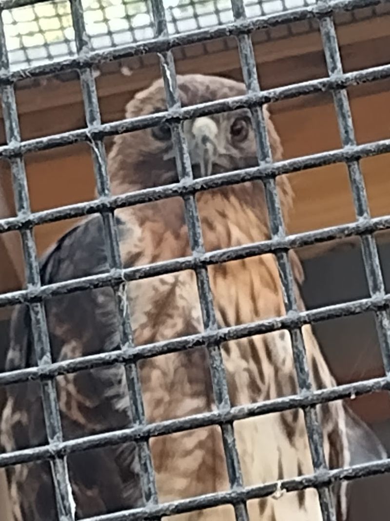 The Charming Visitor Center and Aviary