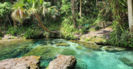 Discover the beautiful waterways of Kelly Park on a memorable Florida day trip