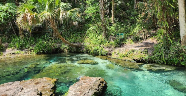 Discover the beautiful waterways of Kelly Park on a memorable Florida day trip