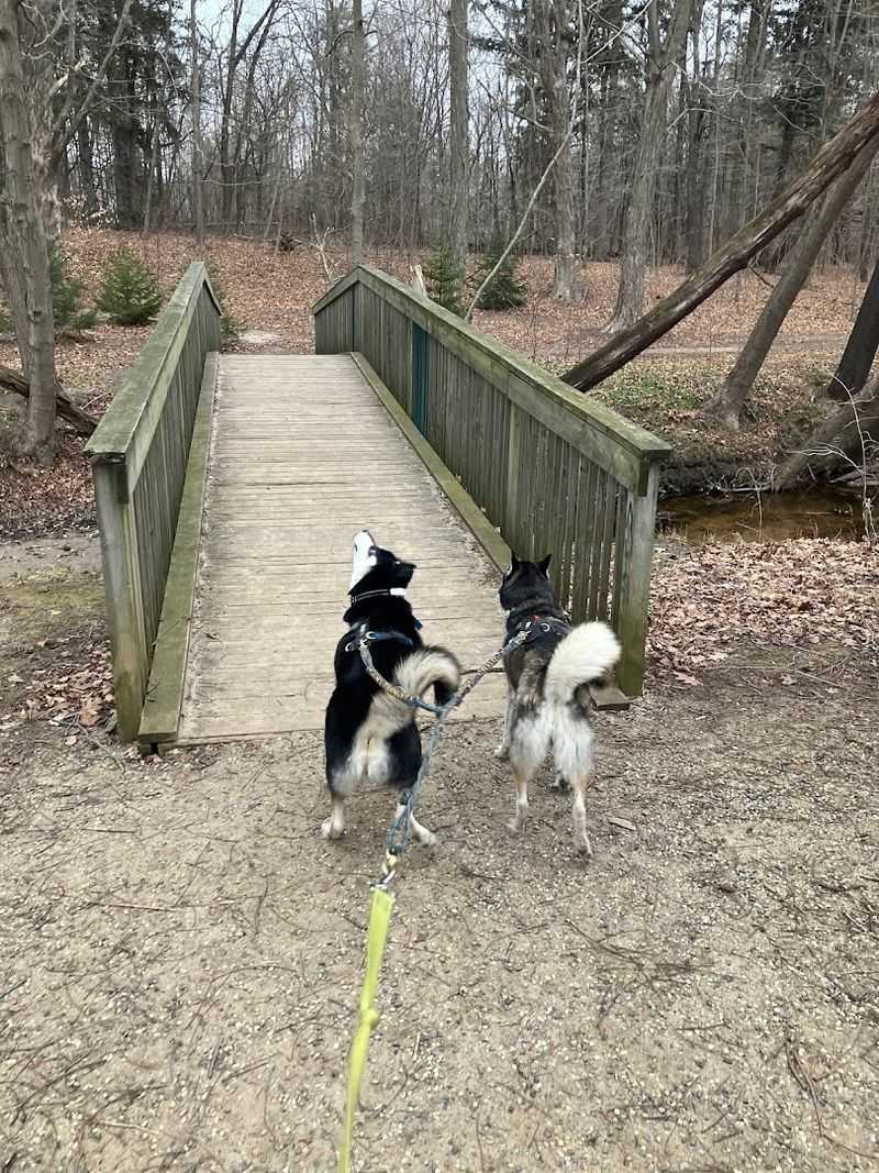 Dog-Friendly Beach and Trails