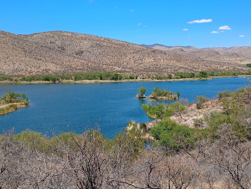 Cabin Rentals That Blend Comfort With the Outdoors