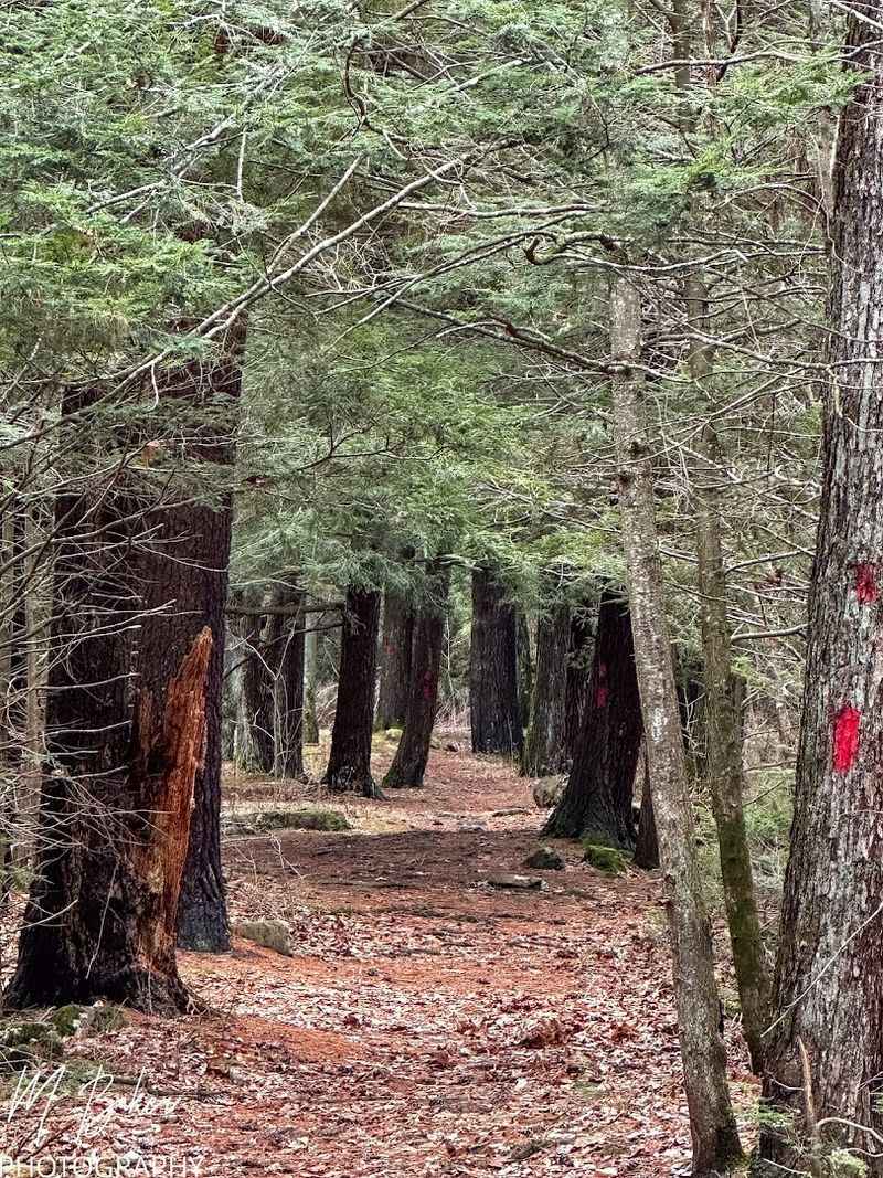 This Little-Known Pennsylvania State Park Feels Like Your Own Private Escape 13 A Surprisingly Short Drive From Williamsport and Lock Haven