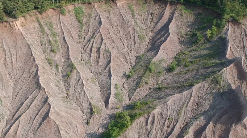 Dog-Friendly Trails and Rules