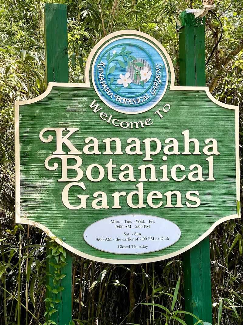 Visiting Hours and the Best Times to Go