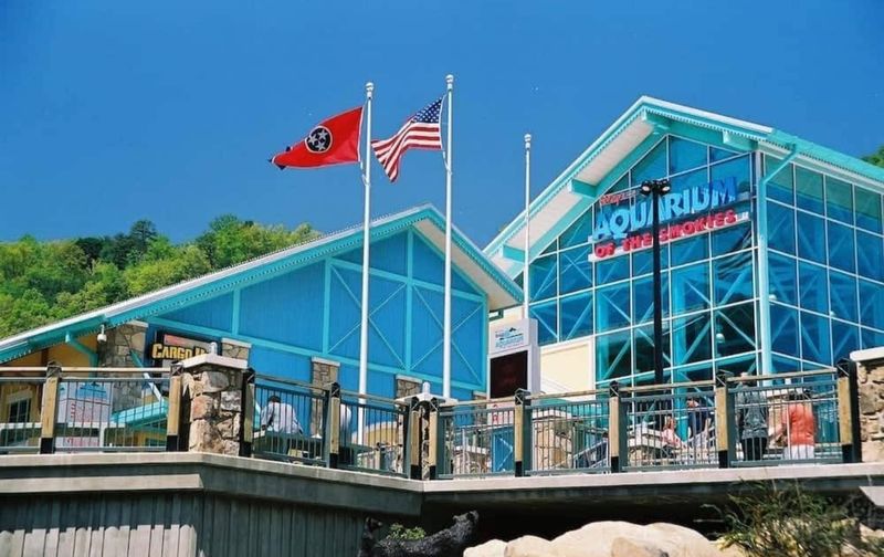 Ripley's Aquarium of the Smokies - Gatlinburg, Tennessee