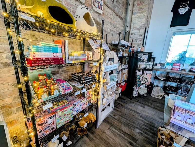 Cat Merchandise and Themed Shopping