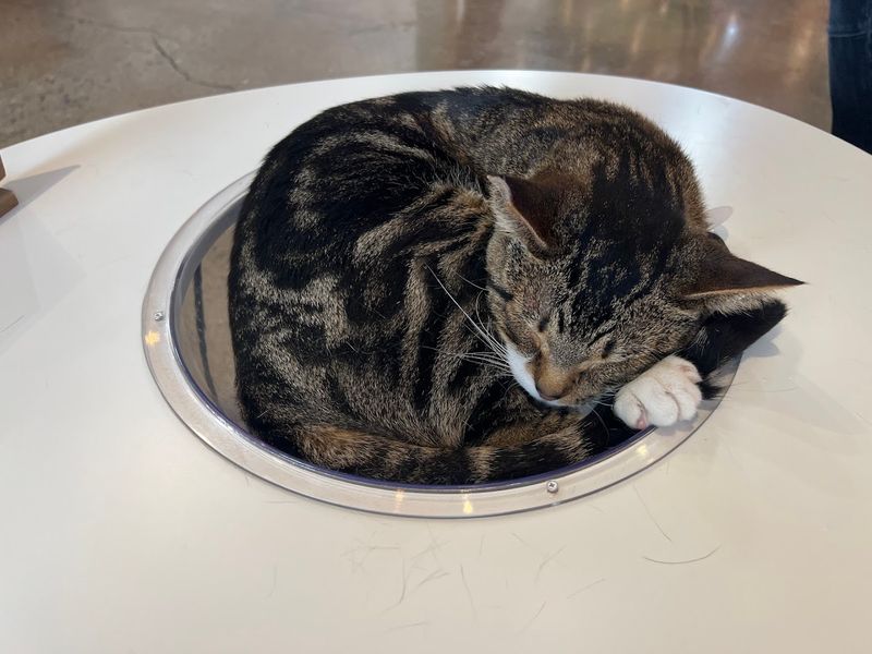 Tips for Guests With Allergies