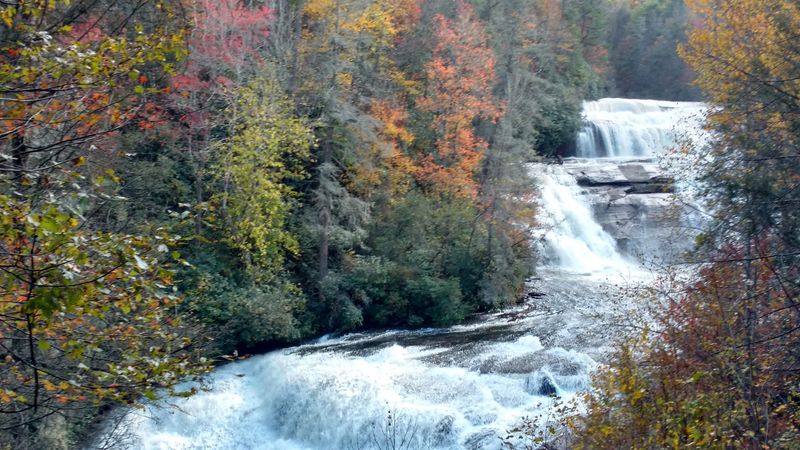 DuPont State Recreational Forest - Cedar Mountain, North Carolina